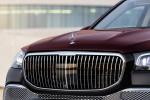 Mercedes-Maybach GLS600 4Matic 2020 года (WW)